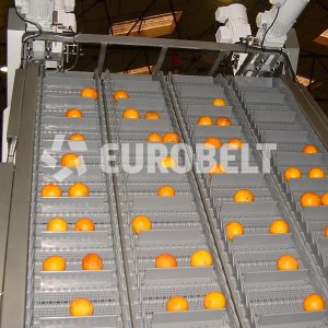 pasy segmentowe plastikowe Eurobelt